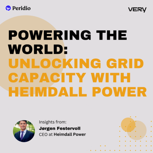 Episode 91 – Powering the World: Unlocking Grid Capacity with Jørgen Festervoll, CEO of Heimdall Power