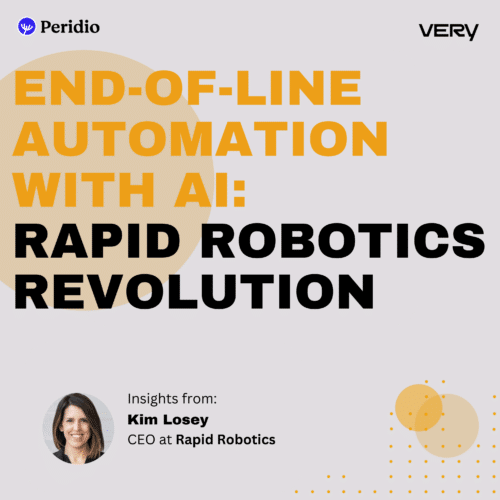 Episode 100 – End-Of-Line Automation With AI: Inside Rapid Robotics Revolution